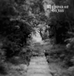 Whisper Of Tears : Into the Night